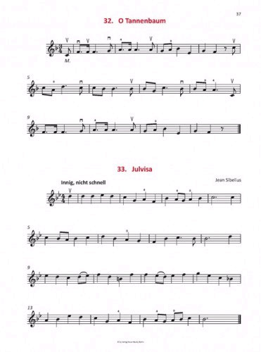 florian-meierott-der-grosse-weihnachtsband-fuer-vi_0006.JPG