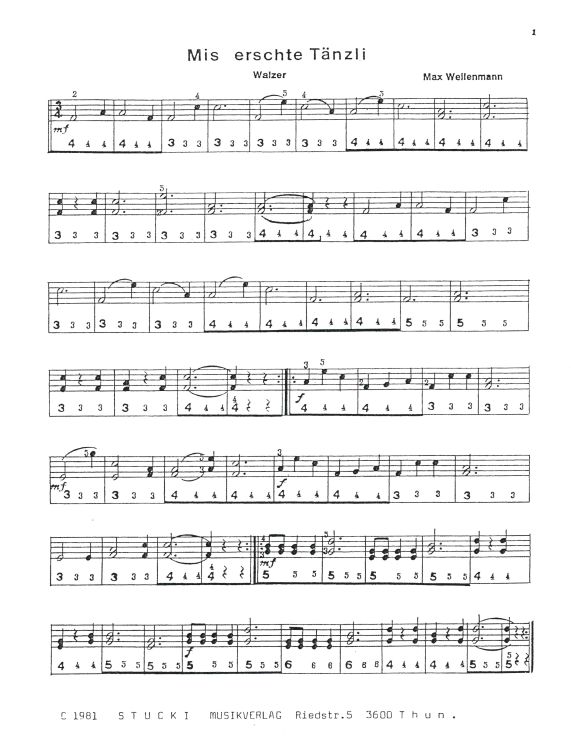 max-weilenmann-mis-schwyzeroergeli-schworg-_0002.jpg