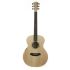 westerngitarre-cole-clark-modell-an1e-bm-eq-bunya-_0001.jpg