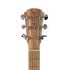 westerngitarre-cole-clark-modell-an1e-bm-eq-bunya-_0003.jpg