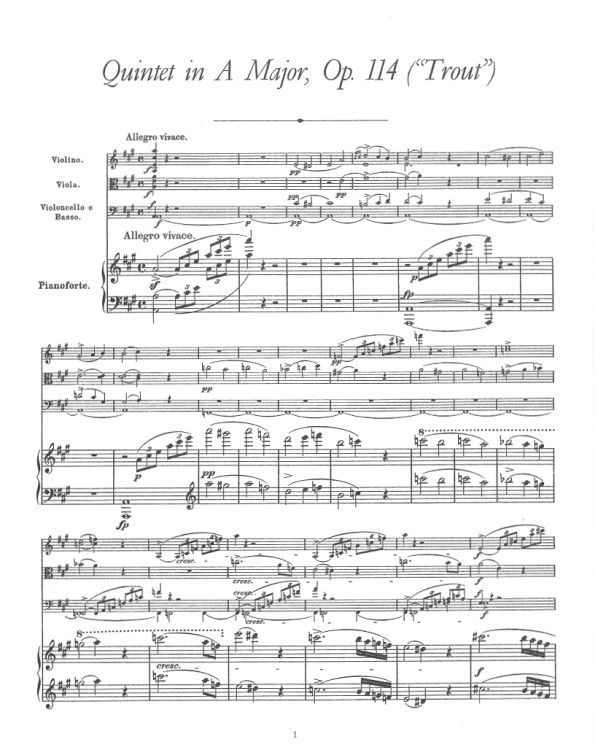 franz-schubert-complete-chamber-music-for-piano-an_0002.jpg