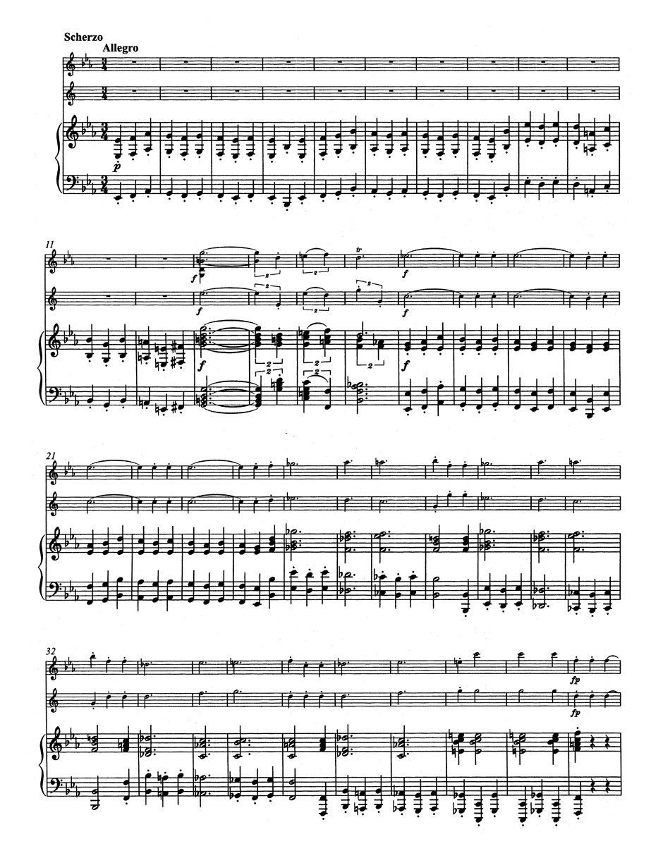 johannes-brahms-trio-op-40-es-dur-hr-vl-pno-_pst_-_0007.JPG