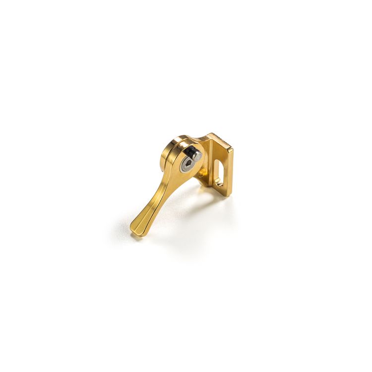 salvi-pro-lever-_5-gold-small-dore-accessoires-pou_0001.jpg