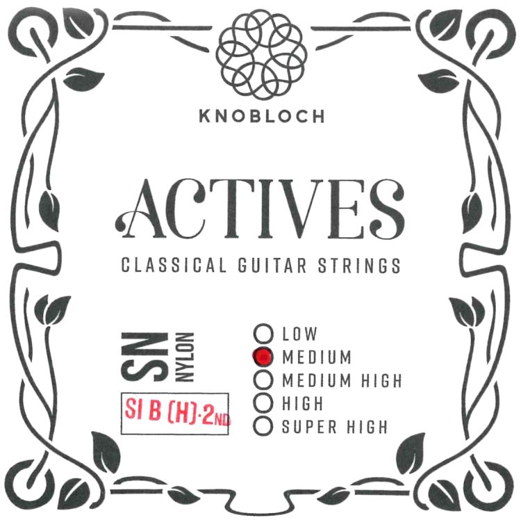 knobloch-h-saite-2nd-actives-sn-nylon-medium-tens-_0001.jpg