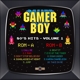 8-bit80s-hits-volume-1-gamer-boy-enjoy-the-ride-lp_0002.JPG