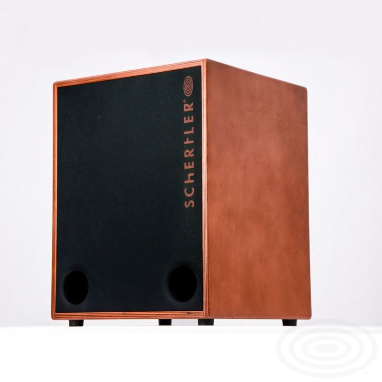 amplificateur-multi-instruments-schertler-modele-u_0003.jpg