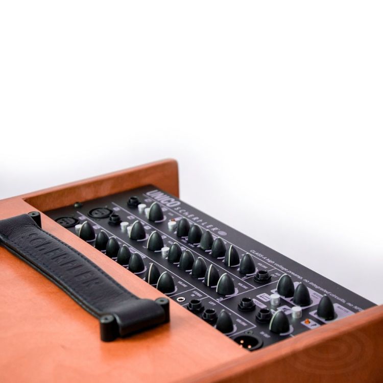amplificateur-multi-instruments-schertler-modele-u_0004.jpg
