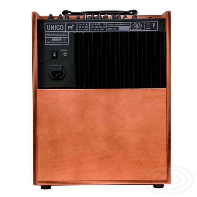 amplificateur-multi-instruments-schertler-modele-u_0005.jpg