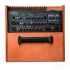 amplificateur-multi-instruments-schertler-modele-u_0002.jpg