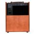 amplificateur-multi-instruments-schertler-modele-u_0005.jpg