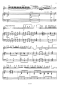 pablo-de-sarasate-zigeunerweisen-op-20-fl-pno-_0006.JPG