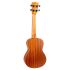 concertukulele-flight-modell-auc-33-mansion-mehrfa_0003.jpg