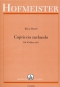 klaus-hertel-capriccio-zurlando-vl-_0001.JPG
