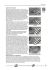 conny-sommer-das-grosse-lehrbuch-fuer-kalimba-und-_0007.jpg