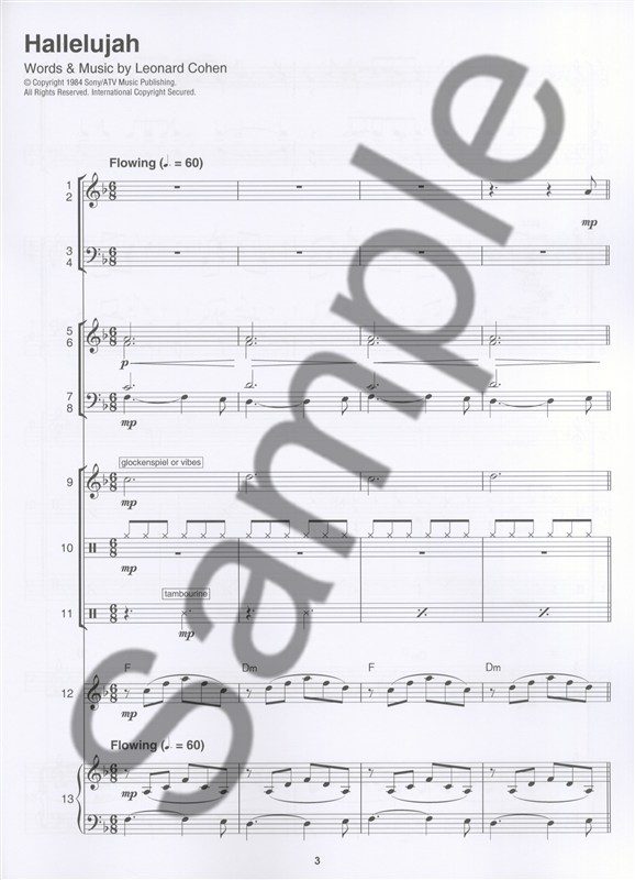 leonard-cohen-hallelujah-schulorch-_pst_-_0006.JPG