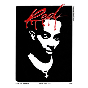 whole-lotta-red-2lp-playboi-carti-interscope-lp-an_0001.JPG