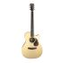 guitare-folk-furch-modele-vintage-2-omc-sr-eas-vtc_0001.jpg