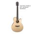 westerngitarre-furch-modell-yellow-gc-sr-masters-c_0001.jpg