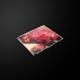 angry-cds-rolling-stones-the-polydor-single-cd-_0001.JPG