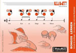 leuchtner-waizmann-bongos-lernen-bongo-_0001.JPG