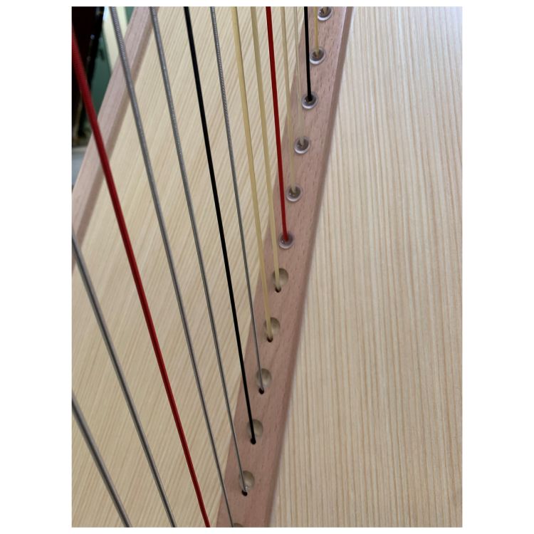 salvi-280-eyelet-0-2x8-range-0g-to-3b-accessoires-_0003.jpg