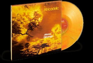 africadelic-manu-dibango-diggers-factory-soul-mako_0001.JPG