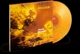 africadelic-manu-dibango-diggers-factory-soul-mako_0001.JPG