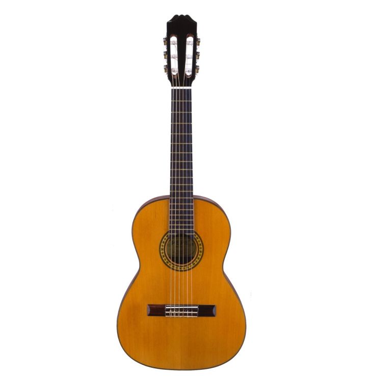 Guitare classique-Aria-Modèle-PS-53-_0001.jpg