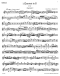 wolfgang-amadeus-mozart-10-beruehmte-streichquarte_0006.JPG