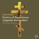 psalms-of-repentance-cappella-amsterdam-daniel-reu_0001.JPG