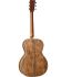 guitare-folk-martin-guitar-modele-ceo-9-custom-sig_0002.jpg