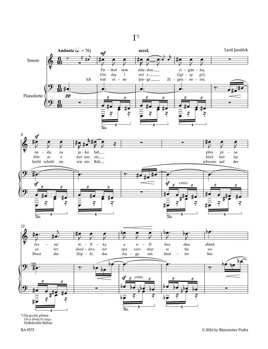 leos-janacek-tagebuch-eines-verschollenen-2sist-fc_0006.JPG
