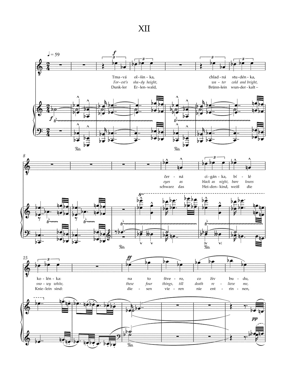 leos-janacek-tagebuch-eines-verschollenen-2sist-fc_0007.JPG