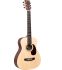 guitare-folk-martin-guitar-modele-lx1-re-rosewood-_0001.jpg