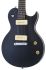e-gitarre-aria-modell-pe-tr2-hh-schwarz-gebeizt-_0002.jpg