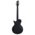 e-gitarre-aria-modell-pe-tr2-hh-schwarz-gebeizt-_0003.jpg