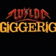 giggerig-wildc-sound-service-cd-_0001.JPG
