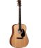 westerngitarre-martin-guitar-modell-d-10e-sitka-pu_0001.jpg