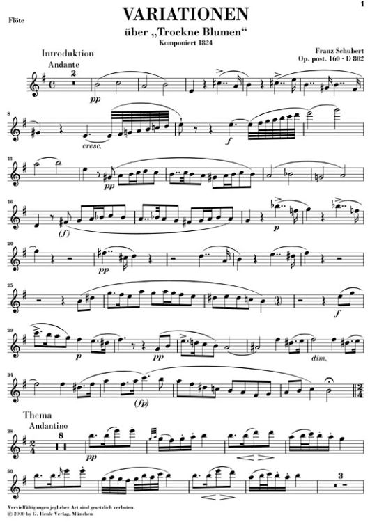 franz-schubert-trockne-blumen-d-802-fl-pno-_urtext_0004.jpg