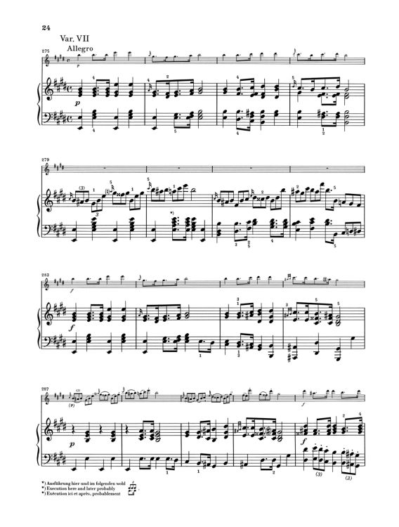 franz-schubert-trockne-blumen-d-802-fl-pno-_urtext_0011.jpg