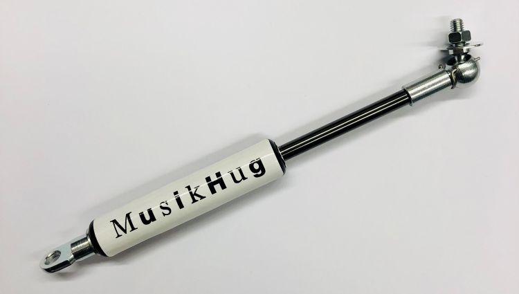 musikpunkt-gdf-feder-leer-ohne-plaettli-pour-ch_ss_0001.jpg