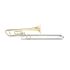 trombone-roy-benson-tt-220-laque-_0001.jpg