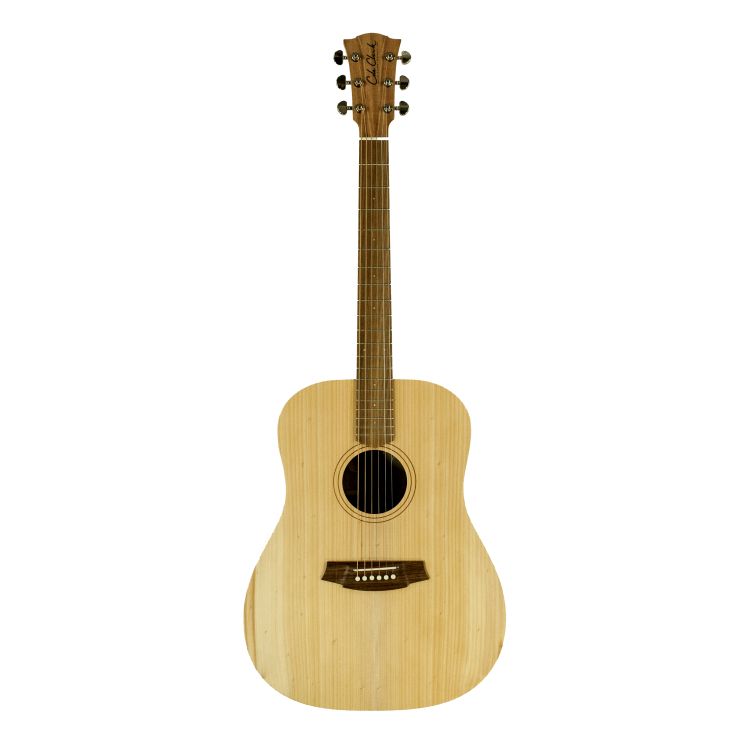 guitare-folk-cole-clark-modele-ccfl1-bm-_0001.jpg