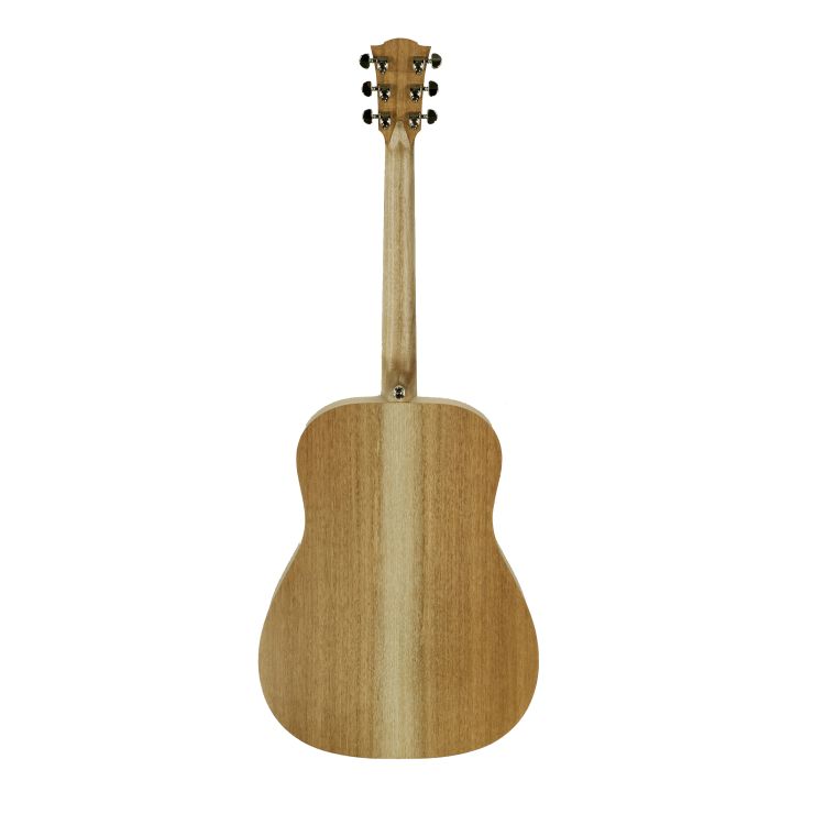guitare-folk-cole-clark-modele-ccfl1-bm-_0002.jpg