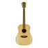 guitare-folk-cole-clark-modele-ccfl1-bm-_0001.jpg