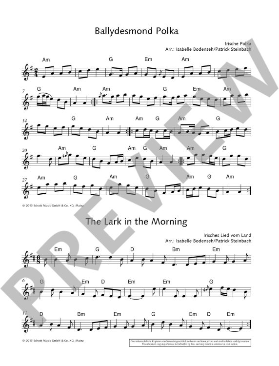 the-irish-flute-book-fl-_notendownloadcode_-_0002.jpg