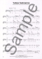 lennon-mccartney-play-8-classic-songs-vl-_notencd__0006.JPG