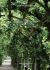 franz-michael-deimling-alina-spanische-impressione_0001.jpg