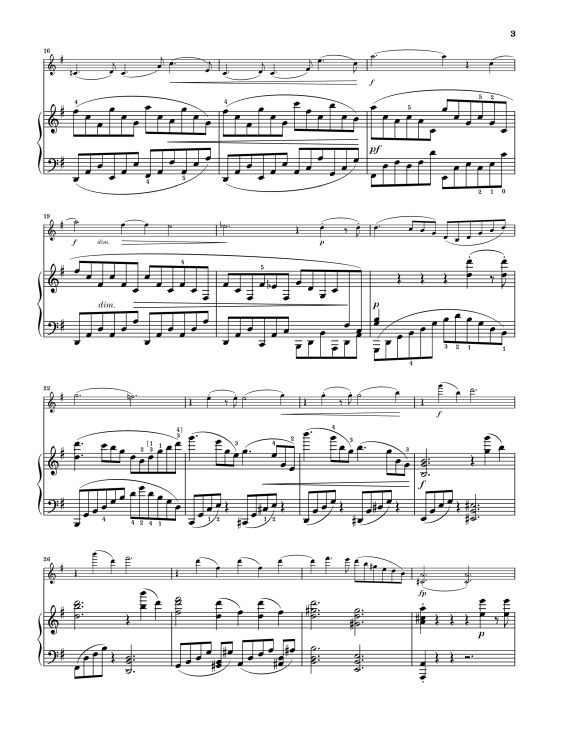 johannes-brahms-sonate-op-78-sol-majeur-vl-pno-_ur_0005.jpg