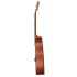 guitare-folk-baton-rouge-modele-ar11c-d-_0003.jpg